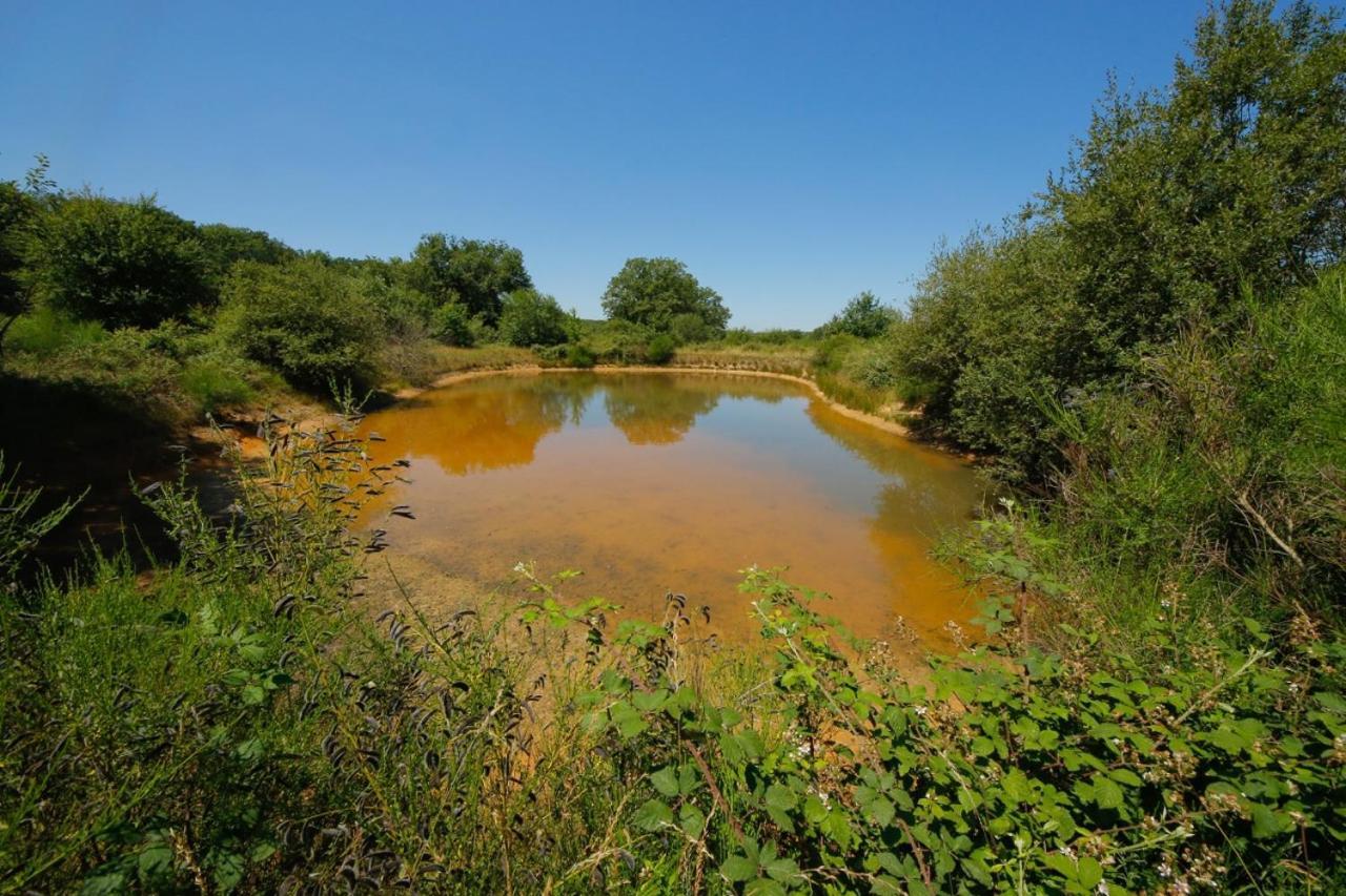 Domaine La Faix, Gite La Forestiere Saint-Plaisir エクステリア 写真