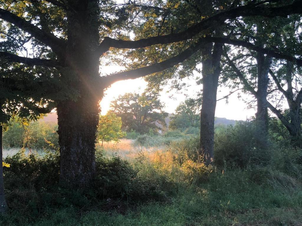 Domaine La Faix, Gite La Forestiere Saint-Plaisir エクステリア 写真